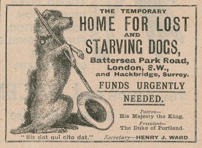 Advertentie voor Battersea Dogs Home door English School