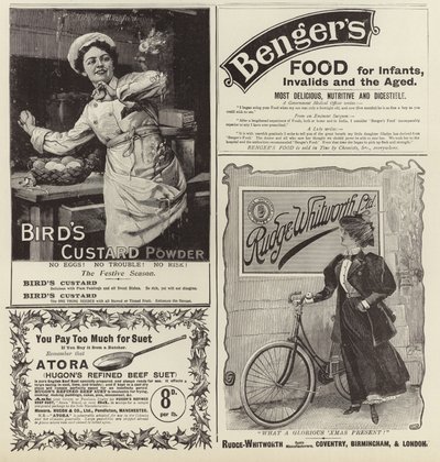 Advertentiespread uit The Graphic Christmas Number 1896 door English School