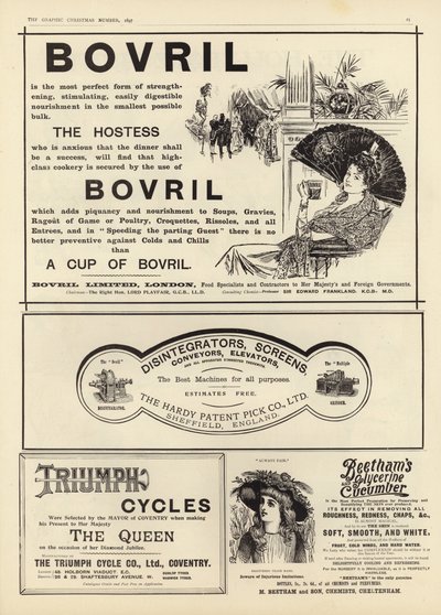 Advertentiepagina uit The Graphic Christmas Number 1897 door English School