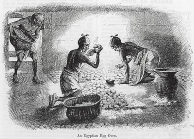 An Egyptian Egg Oven (engraving) door English School