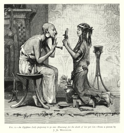 Een Egyptische dame bereidt zich voor om te rouwen om de dood van haar huisdier kat door English School