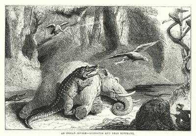 Een Indiase jungle, alligator en dode olifant (gravure) door English School