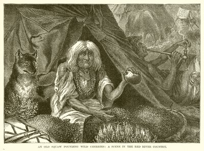 Een Oude Squaw die Wilde Kersen Stampt: Een scène in het Red River-gebied door English School
