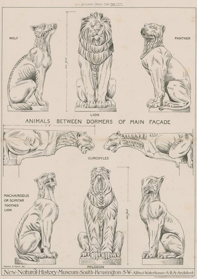 Dieren tussen dakkapellen van de hoofdgevel van het nieuwe Natuurhistorisch Museum, South Kensington door English School