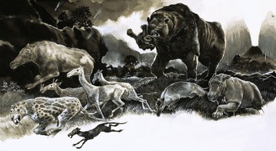 Dieren uit het Oligoceen door English School