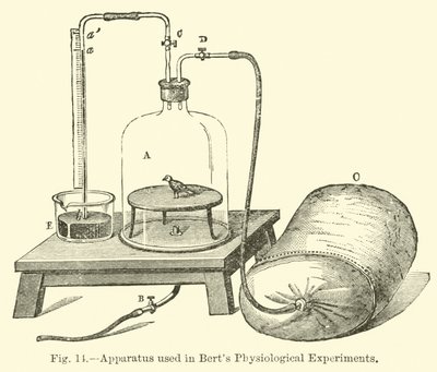 Apparatuur gebruikt in Berts fysiologische experimenten door English School