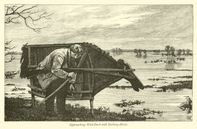 Naderende Wilde Eend met Stalkpaard door English School