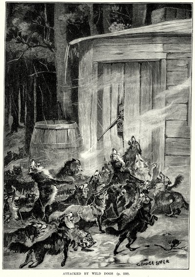 Aangevallen door wilde honden (gravure) door English School