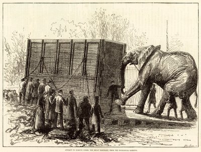 Poging om Jumbo, de grote olifant, uit de Zoological Gardens te verwijderen (gravure) door English School