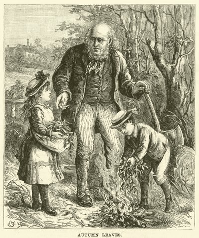 Herfstbladeren (gravure) door English School