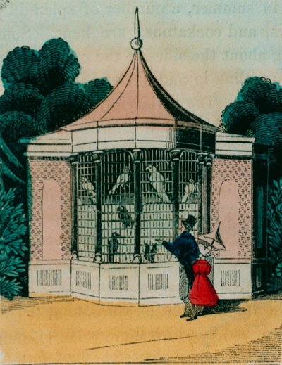 Volière voor papegaaien en kaketoes in de dierentuin van Londen. 1840s door English School