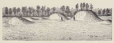 Avondale Mounds, Washington County, Mississippi (litho) door English School