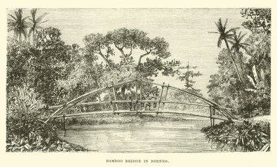 Bamboebrug in Borneo door English School