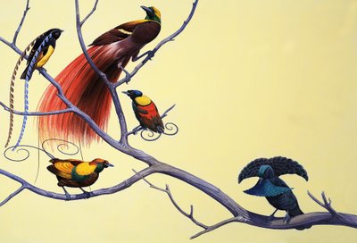 Paradijsvogels door English School