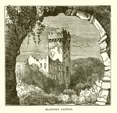 Blarney Kasteel door English School