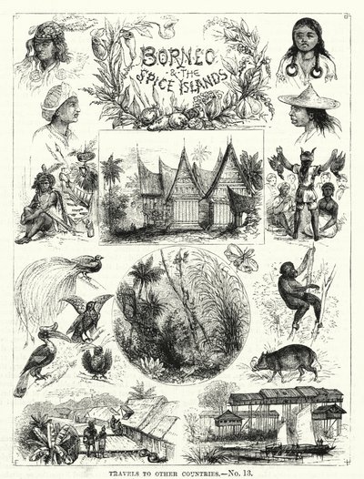 Borneo en de Specerijeneilanden door English School