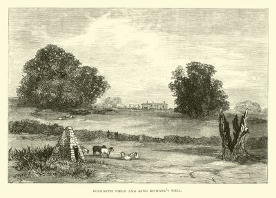 Bosworth Field en King Richards Well door English School
