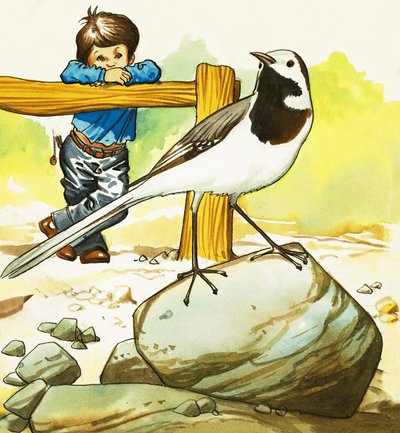 Jongen kijkt naar een onbekende vogel door English School