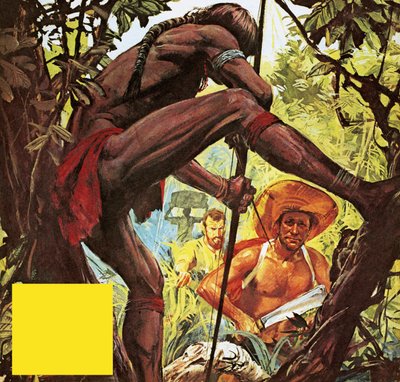 Brazilië: het land dat een stad uit de jungle hakte door English School