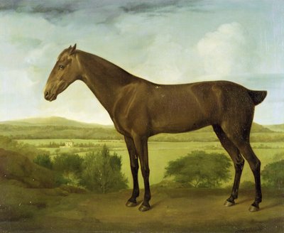 Bruin paard in een heuvelachtig landschap, ca. 1780-1800 door English School