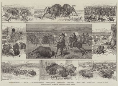 Buffeljacht in de Westelijke Gebieden van Noord-Amerika door English School