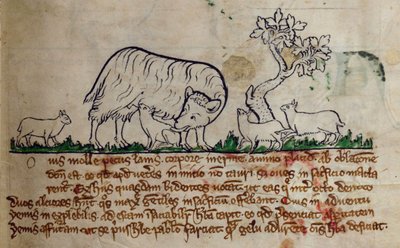 CCA-LitMs/D/10 fol. 8r Schaap, uit Bestiarium door English School