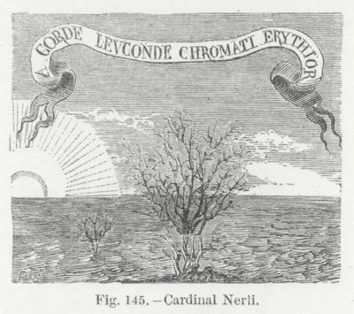 Kardinaal Nerli (gravure) door English School