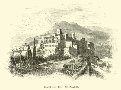 Kasteel van Monaco door English School