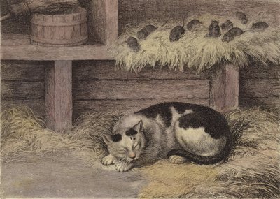 Kat en muizen in een schuur (getinte gravure) door English School