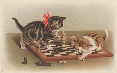 Katten die schaken door English School