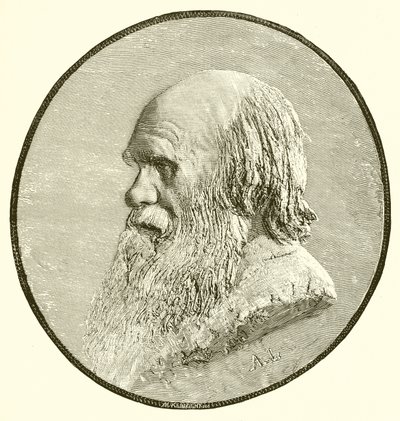 Charles Darwin door English School