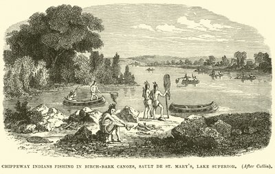 Chippeway-indianen vissen in berkenbast kano