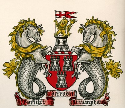 Wapen, Newcastle-on-Tyne, Engeland door English School