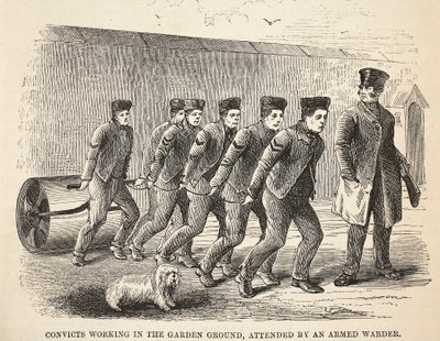 Gevangenen aan het werk in de tuin, begeleid door een gewapende bewaker, illustratie uit The Criminal Prisons of London and Scenes from Prison Life door Henry Mayhew en John Binny, uitgegeven in 1862 door English School