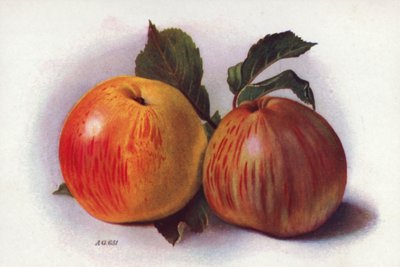 Culinaire appels door English School