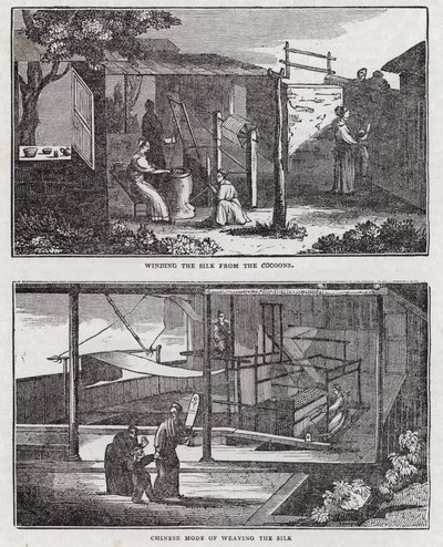 Zijdecultivatie (gravure) door English School