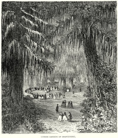 Cipres Tuinen van Chapultepec (gravure) door English School