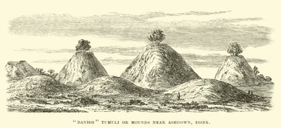 Deense tumuli of heuvels nabij Ashdown, Essex door English School