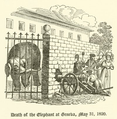 Dood van de olifant in Genève, 31 mei 1820 door English School