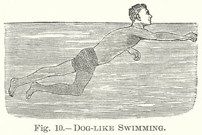 Hond-achtig zwemmen (gravure) door English School