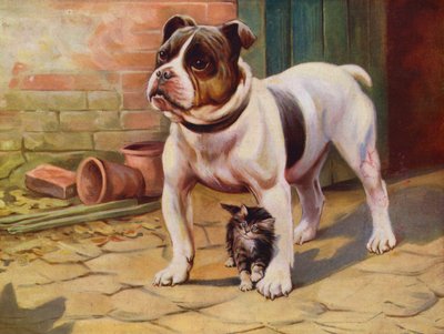 Hond en kitten door English School