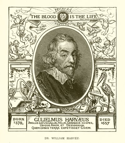 Dr. William Harvey door English School