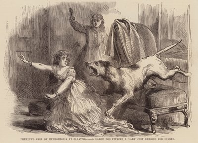 Vreselijk geval van watervrees in Saratoga, een grote hond valt een dame aan die net gekleed is voor het diner door English School