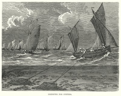 Baggeren naar oesters (gravure) door English School