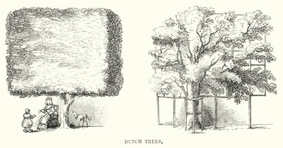 Nederlandse Bomen (gravure) door English School