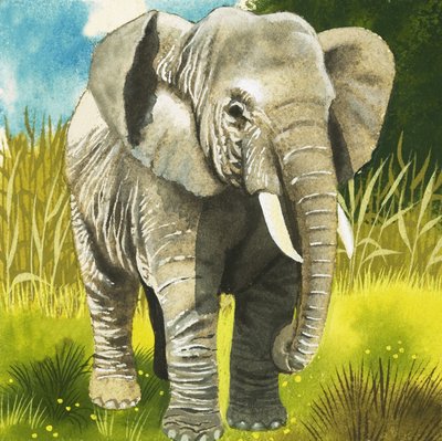 Olifant door English School