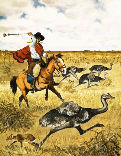 Emu jacht door English School