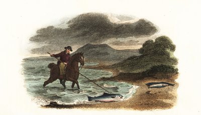 Engelse visser Graham jaagt op zalm in ondiep water te paard met een 5-meter lange drietand door English School