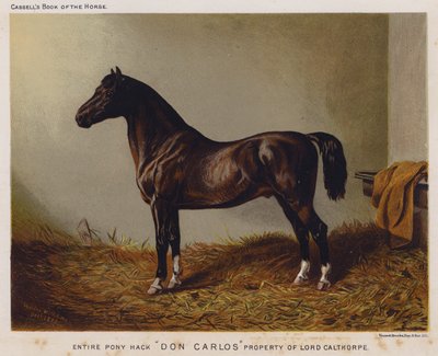 Volledige pony hack "Don Carlos," eigendom van Lord Calthorpe door English School