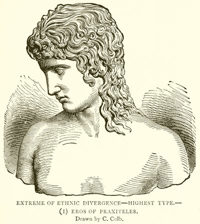 Extreem van etnische divergentie--hoogste type.--(1) Eros van Praxiteles door English School